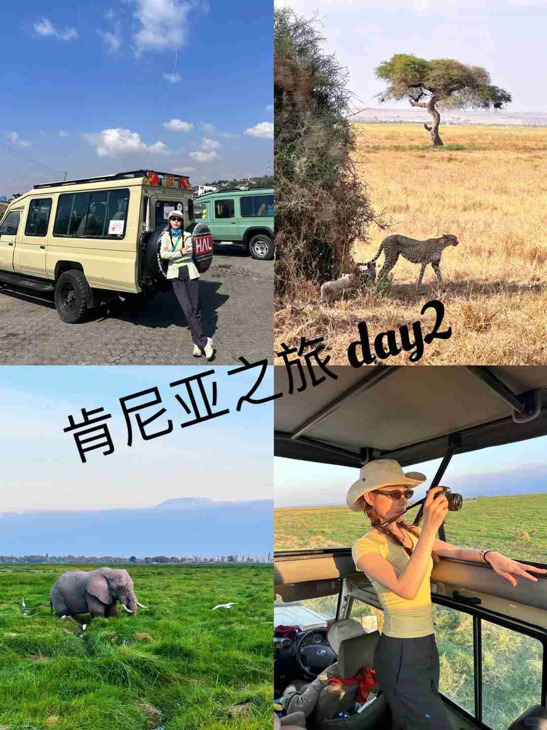 Explore Kenya's Wildlife Wonders: An Unforgettable Journey into Amboseli National Park