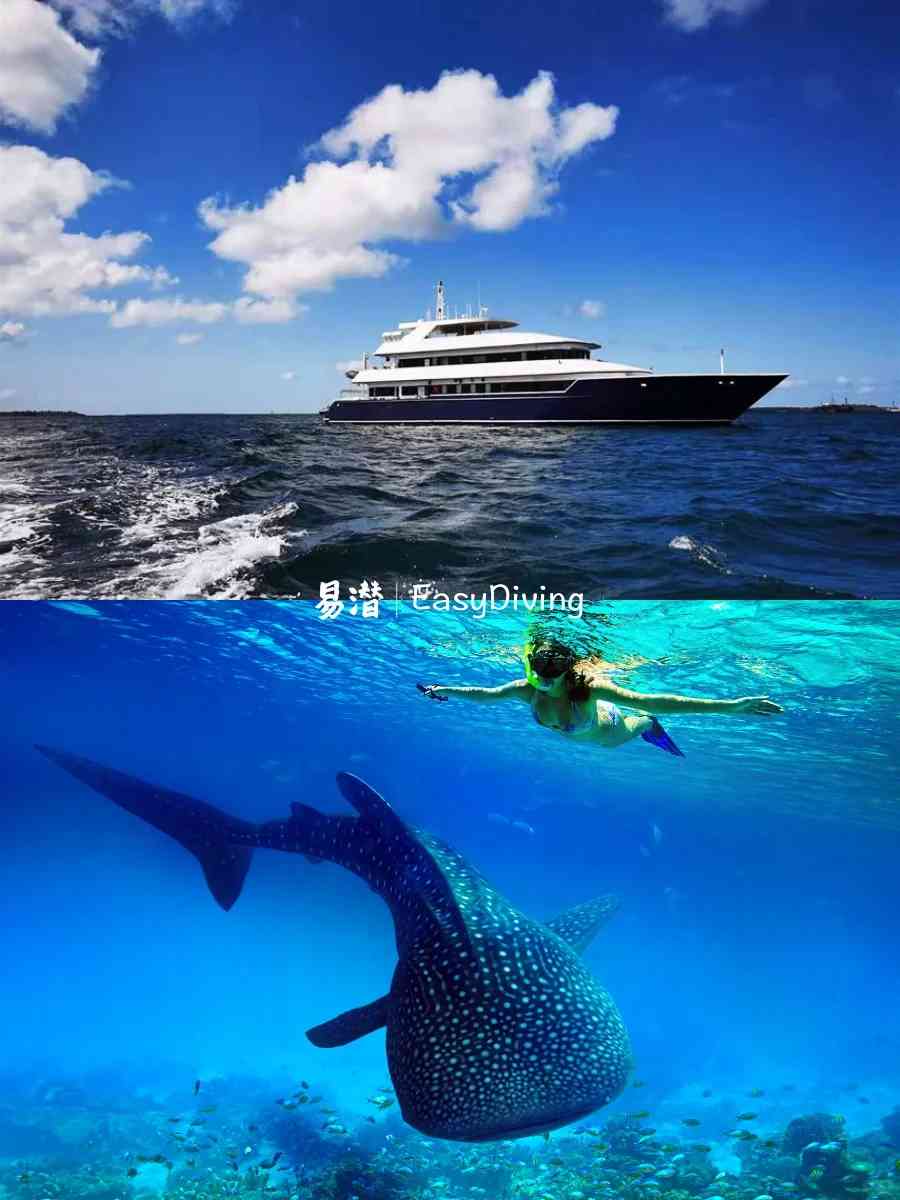 Explore Komodo Waters with Easy Diving Indonesia Liveaboard Adventures