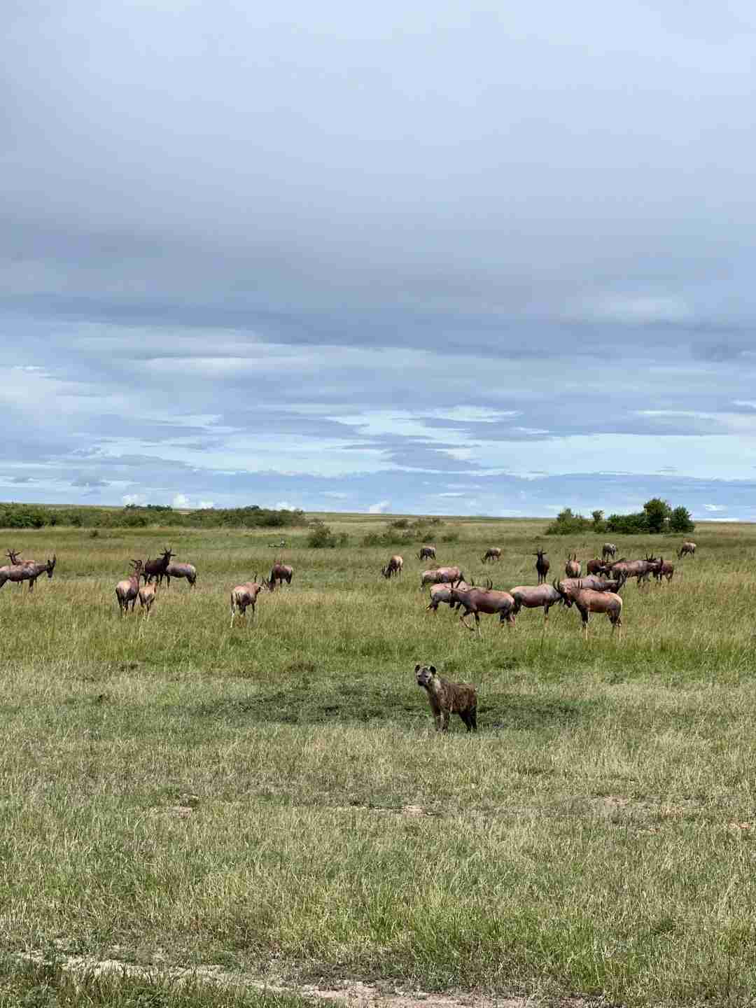 Explore Masai Mara Safely: Best Times to Avoid Kenya's Rainy Season