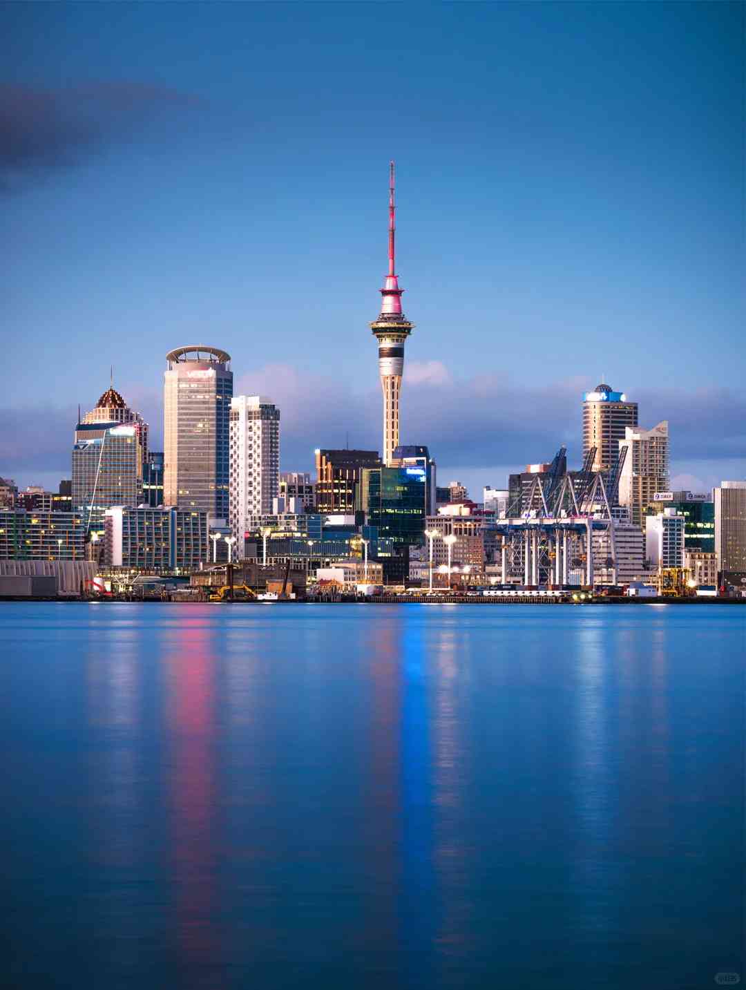 Explore New Zealand Efficiently: Small Group Tours Offer Unmatched Cost-Effectiveness 💯