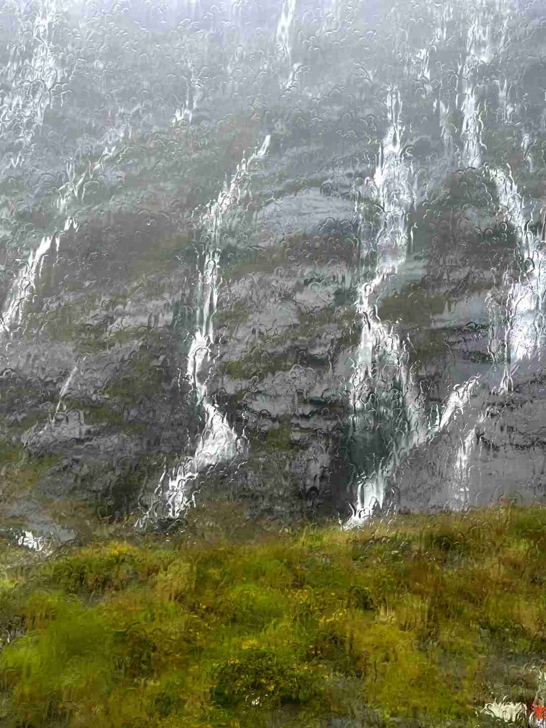 Explore Queenstown's Stunning Fjords on a Rainy Day Adventure伞