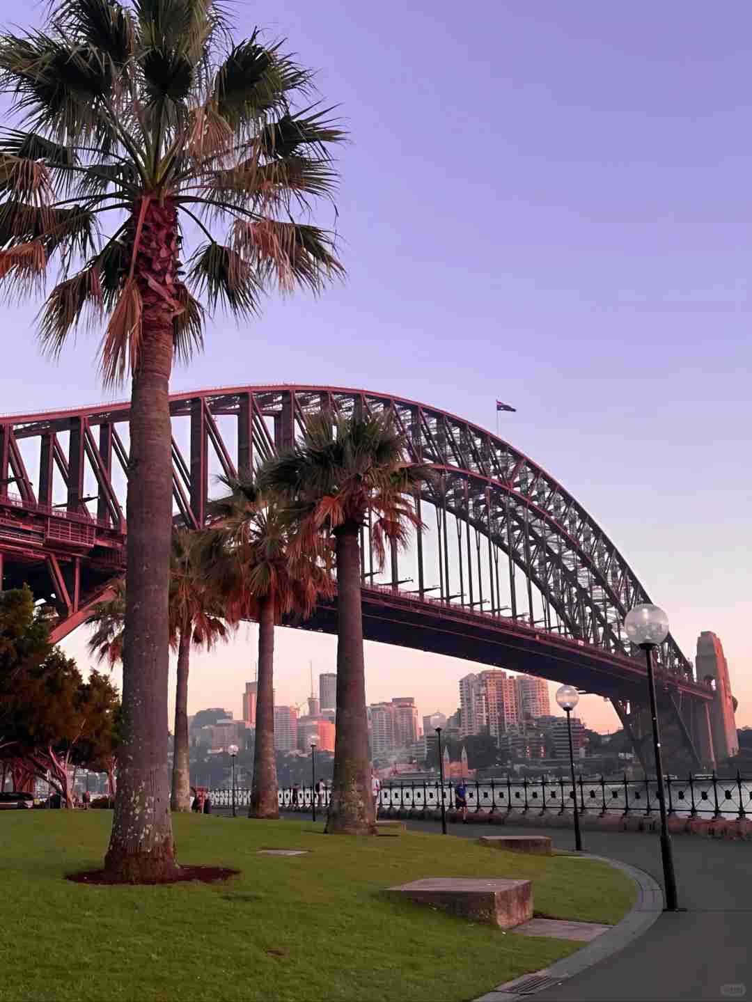 Explore Sydney Without a Car: Top Activities and Attractions Guide