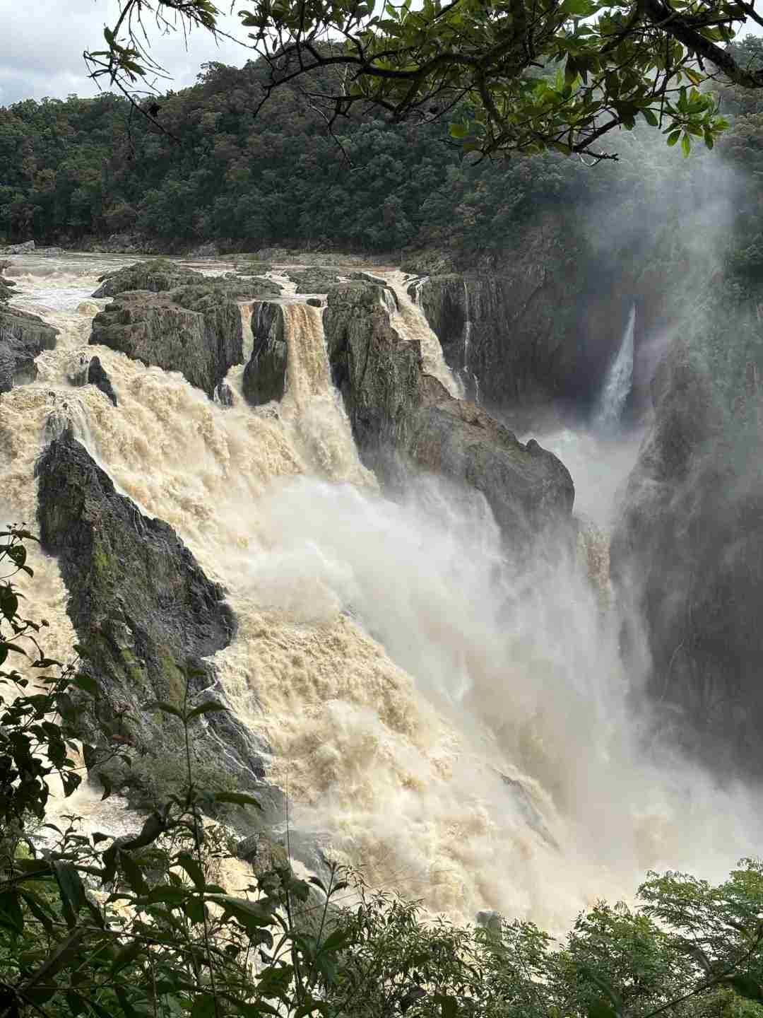 Explore Tropical Rainforest: Ultimate Kuranda Scenic Railway Adventure