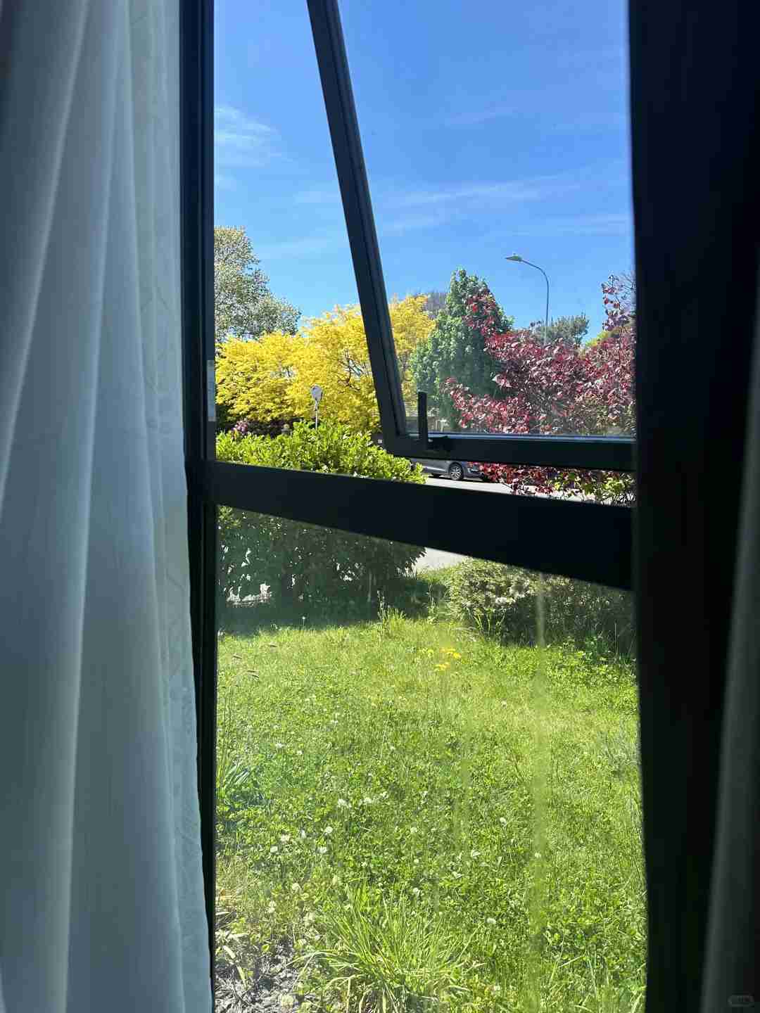 Entdecke die unterbewertete Frühlingspracht: Südinsel und Christchurch-Escapades