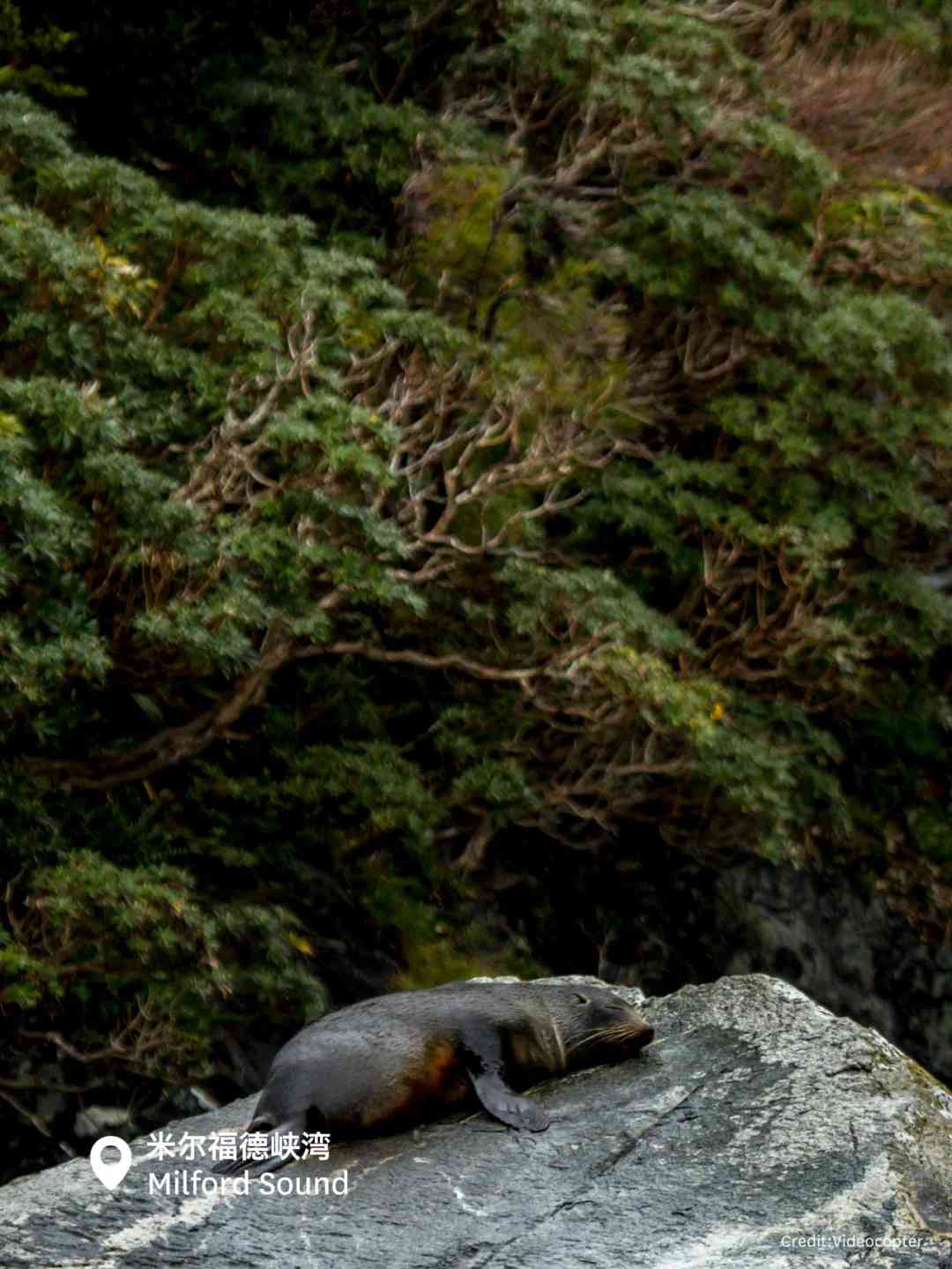 Explore Unique Scenic Landforms in New Zealand: No Domestic Substitutes Available
