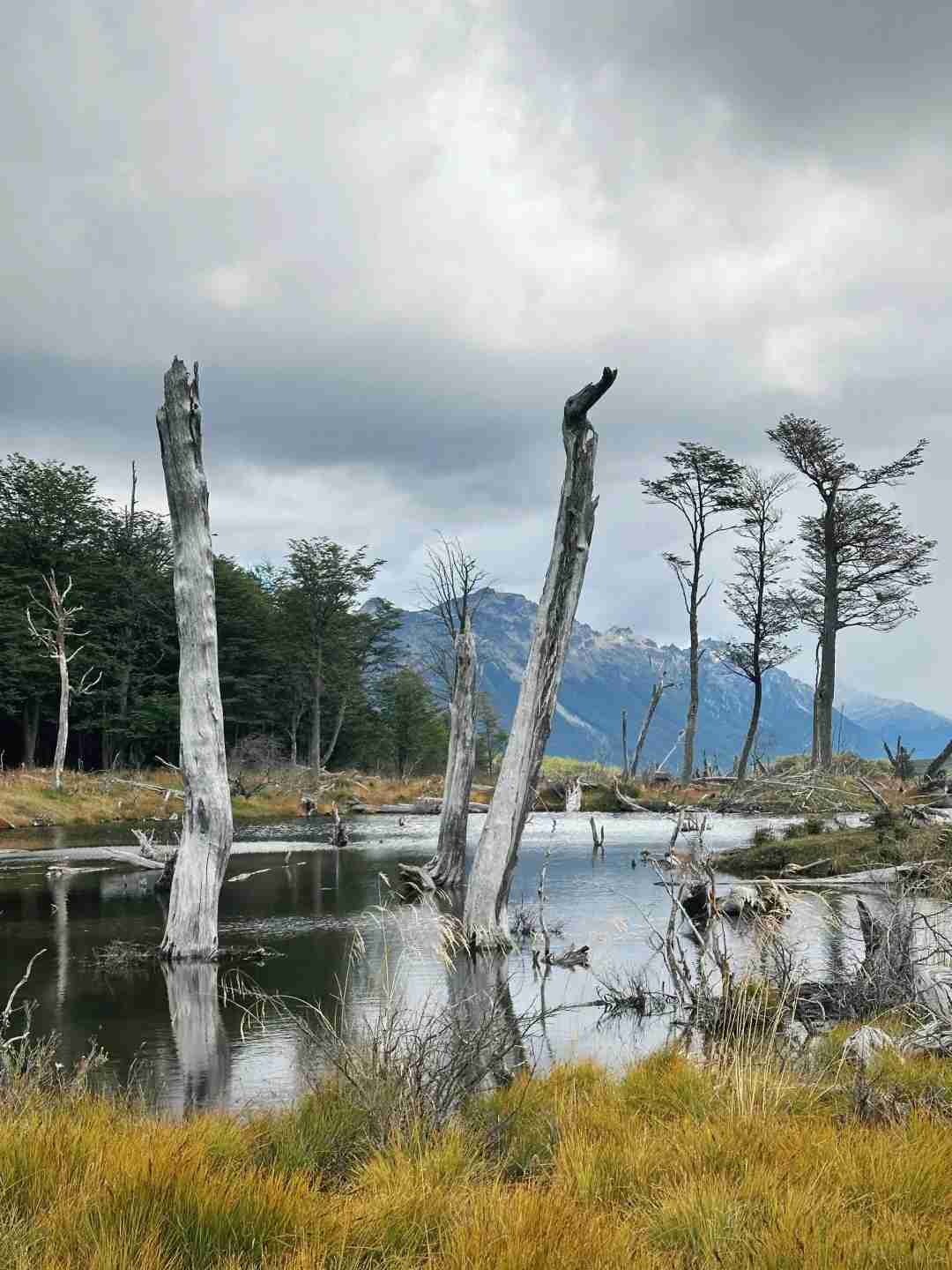 Explorando Ushuaia, Argentina: Roteiro do Dia 2 para Amantes da Natureza e Aventureiros