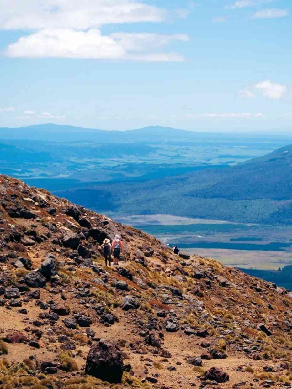 Explore the Breathtaking Beauty of New Zealand's North Island: Discover Hidden Life Trails