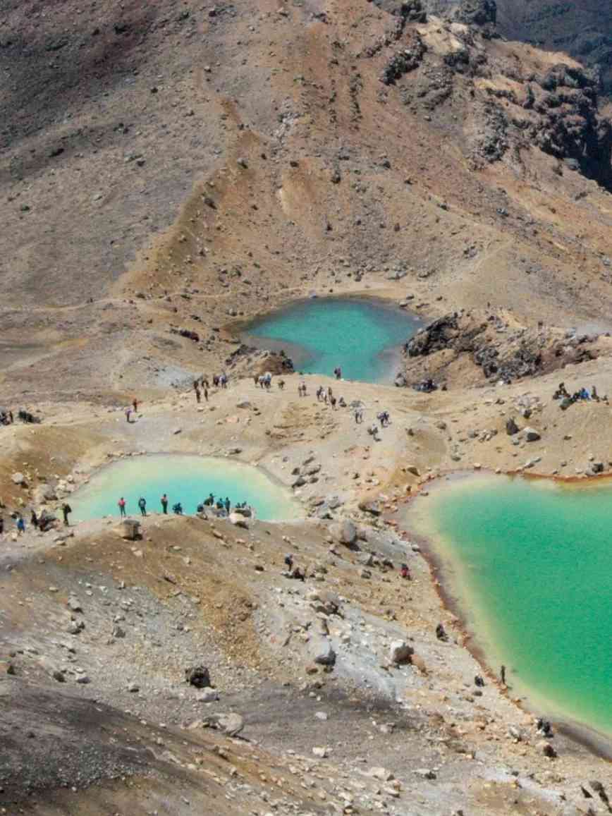 Explore the Breathtaking Beauty of New Zealand's North Island: Discover Hidden Life Trails