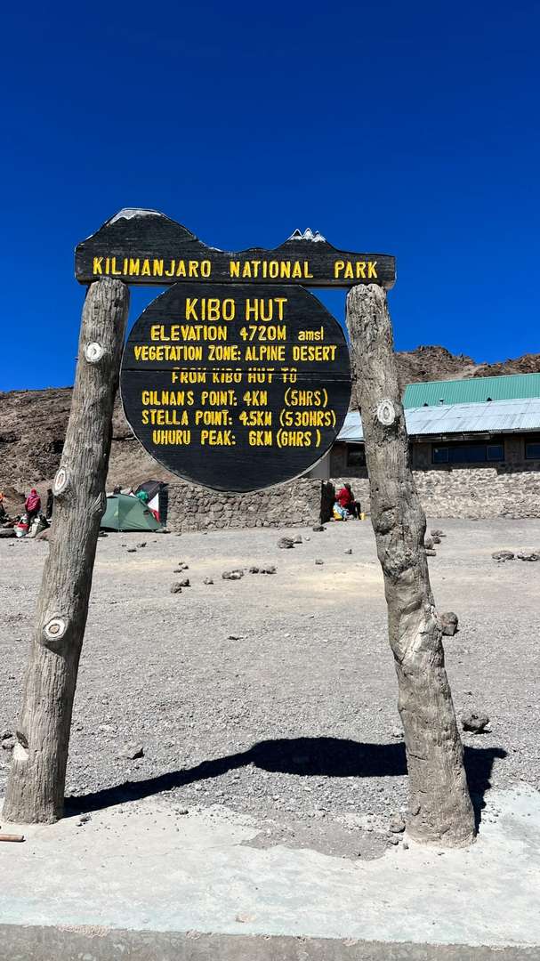 Failed Kilimanjaro Summit Attempt in 2 Days? Lessons Learned & Survival Tips