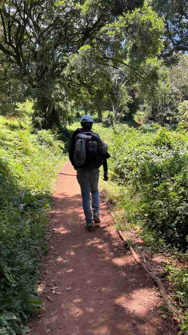 Failed Kilimanjaro Summit Attempt in 2 Days? Lessons Learned & Survival Tips