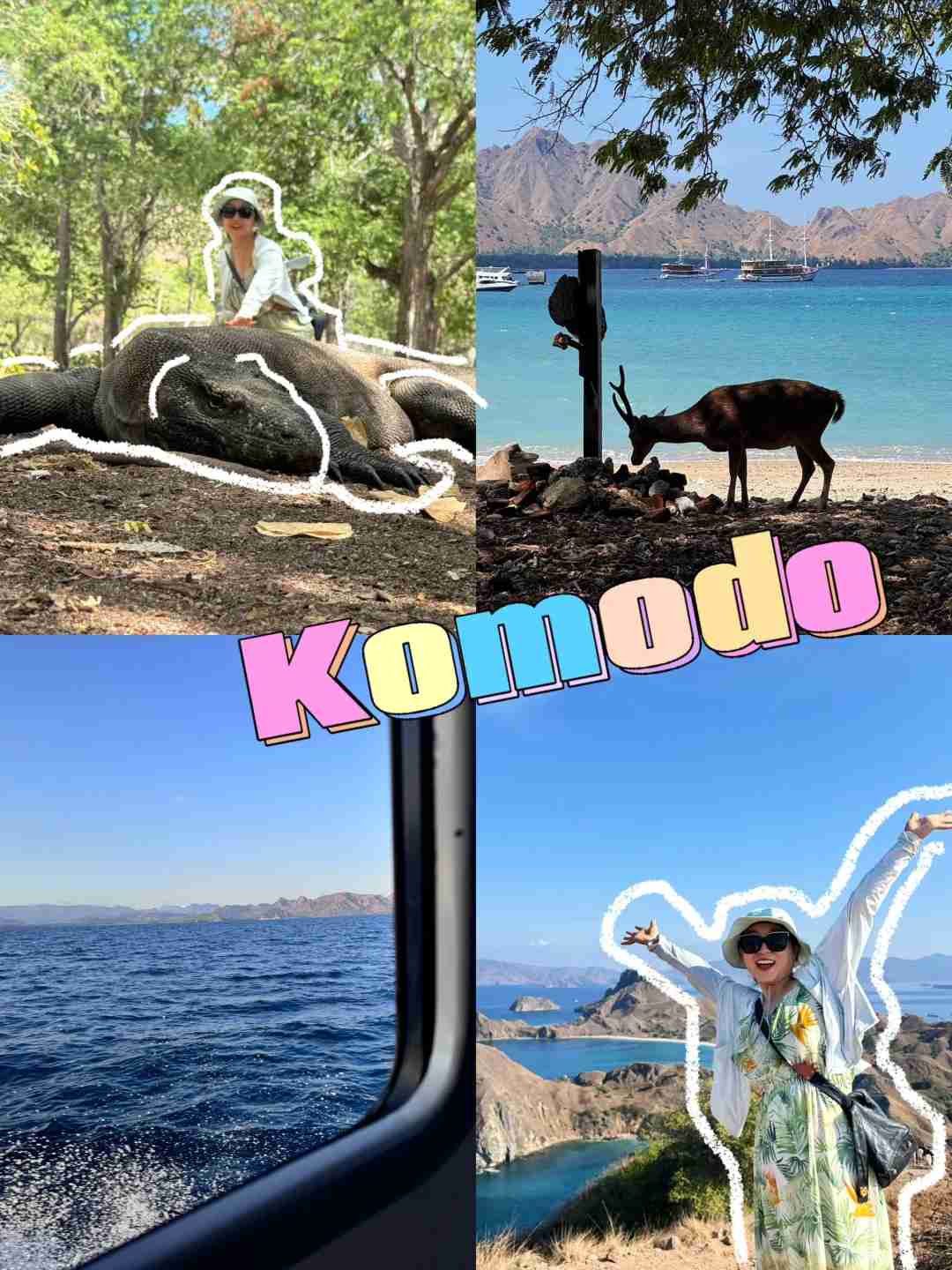 Finally Touched the Legendary Komodo Dragon: An Unforgettable Wildlife Encounter 😝