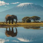 Find the Best Kilimanjaro Hiking Partners for Your June Summit Adventure