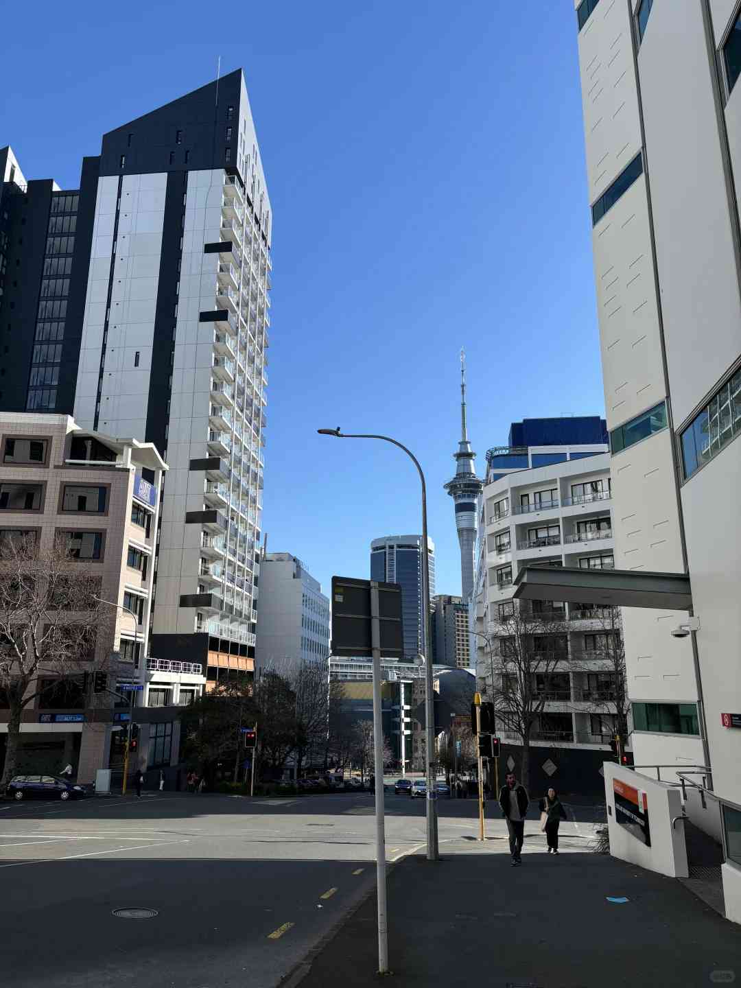 First Time Family Trip to New Zealand: Best Tips and Destinations