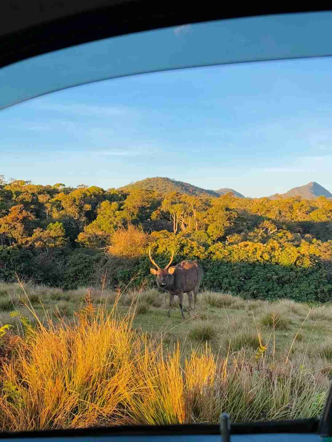 First Time Hiking Abroad: Real Experience and Tips for Horton Plains 🚶‍♀️