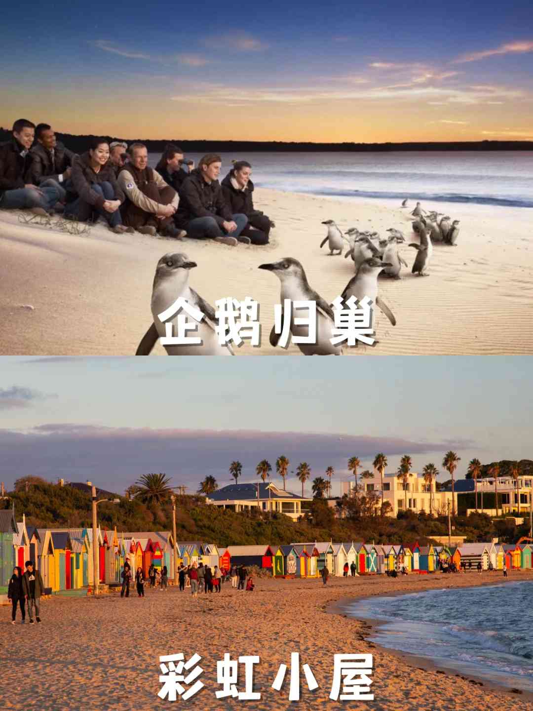 Erster Besuch in Melbourne? Enthüllender Reiseführer, um häufige Fehler zu vermeiden ❗