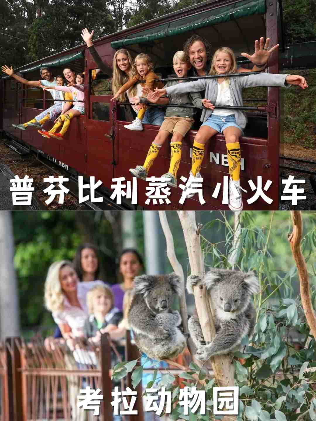 Erster Besuch in Melbourne? Enthüllender Reiseführer, um häufige Fehler zu vermeiden ❗
