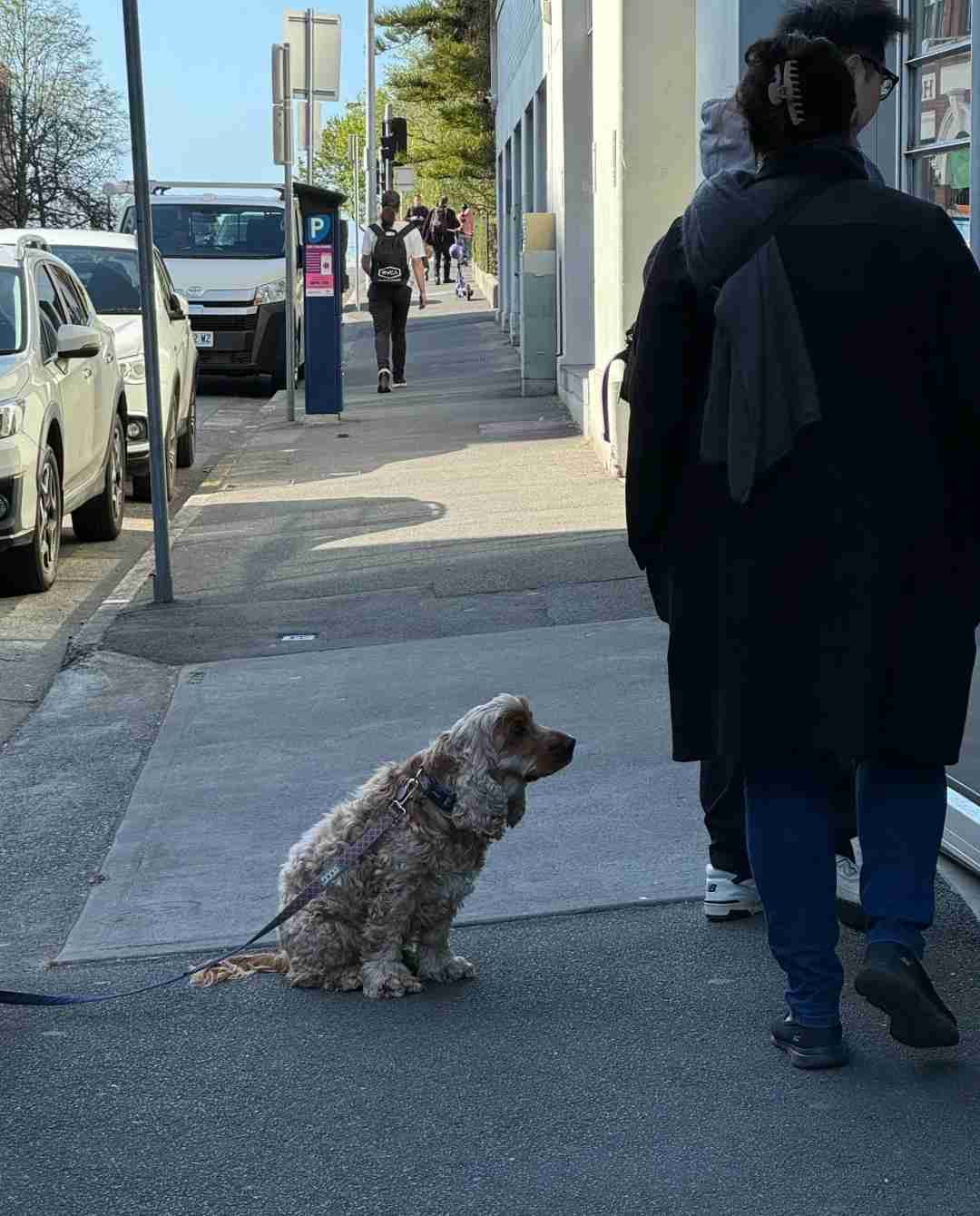 [Hobart Living] Discover Why I Truly Love Life in Hobart, Tasmania