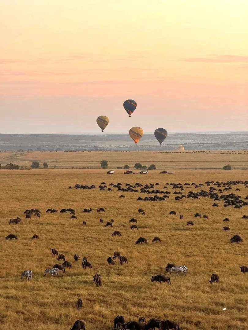 Honest Tips for Traveling on a Tight Budget in Kenya: Save Money Now!