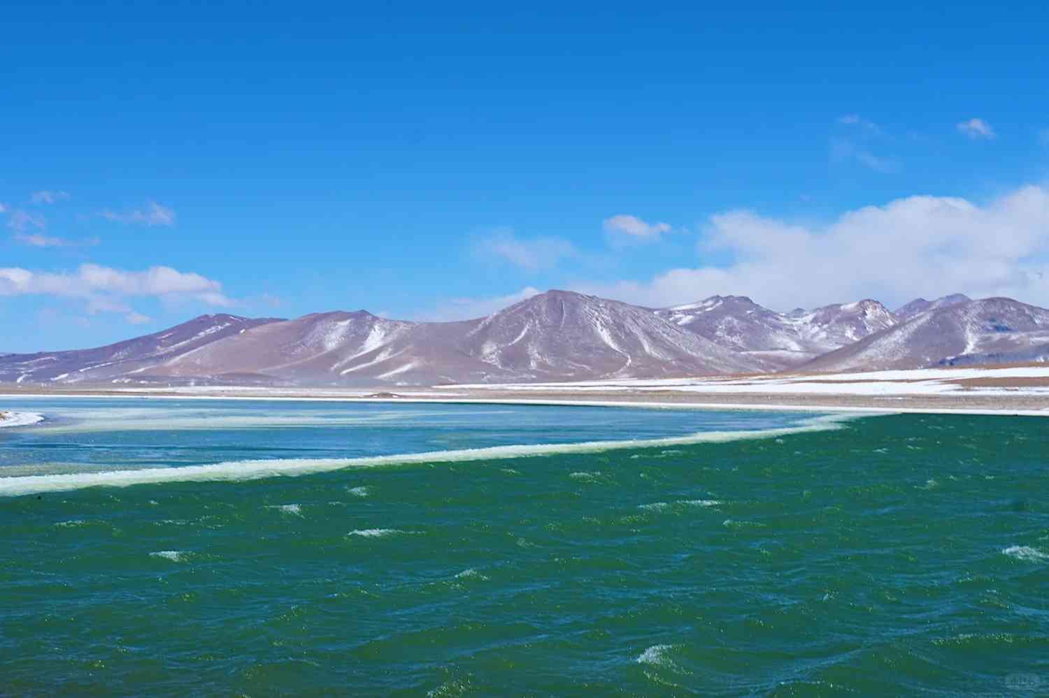 How to Explore Tarapacá Salt Flat: Mysterious Chile Atacama Desert Guide