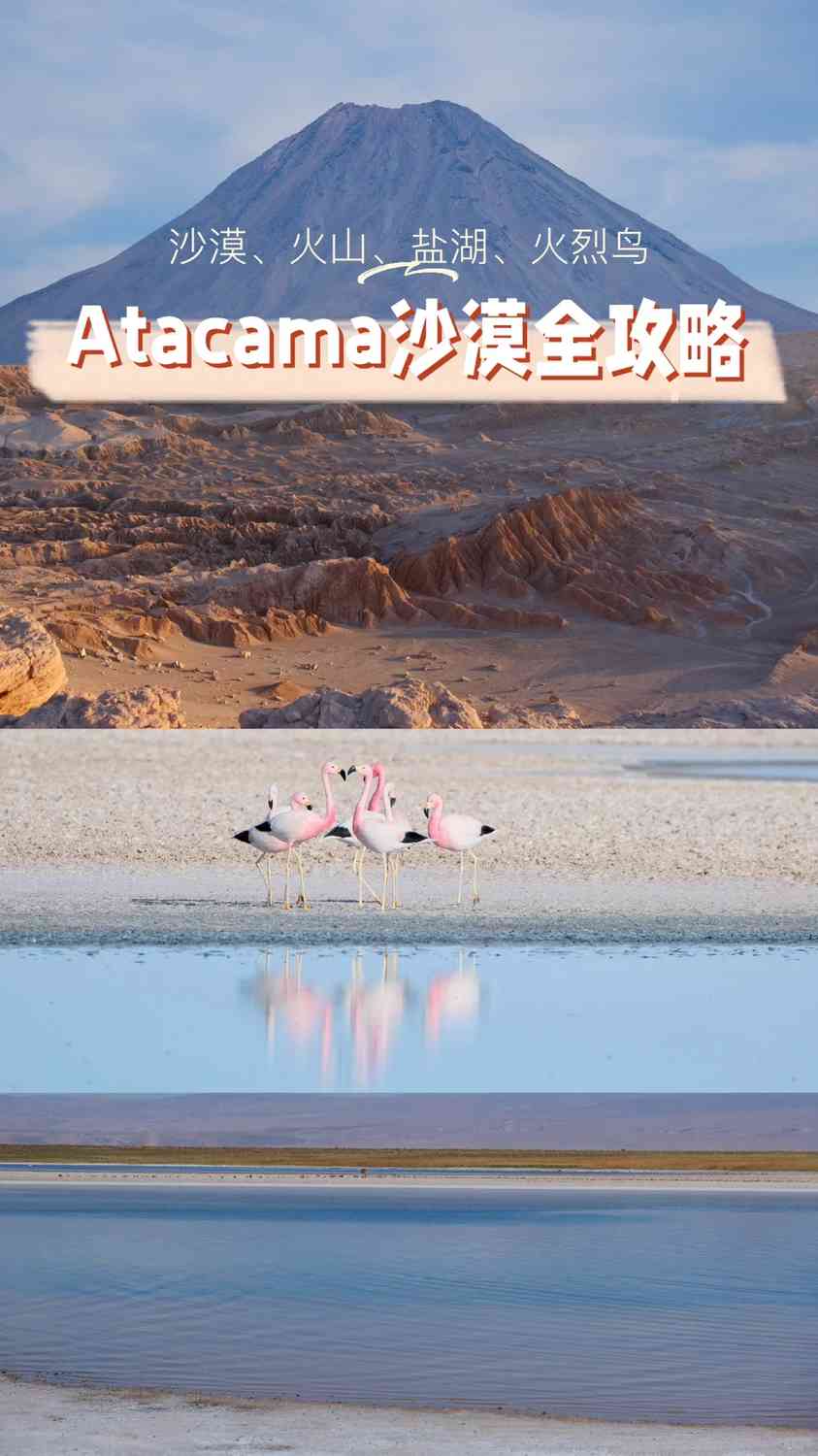 予算重視のアタカマ砂漠旅行計画ガイド
