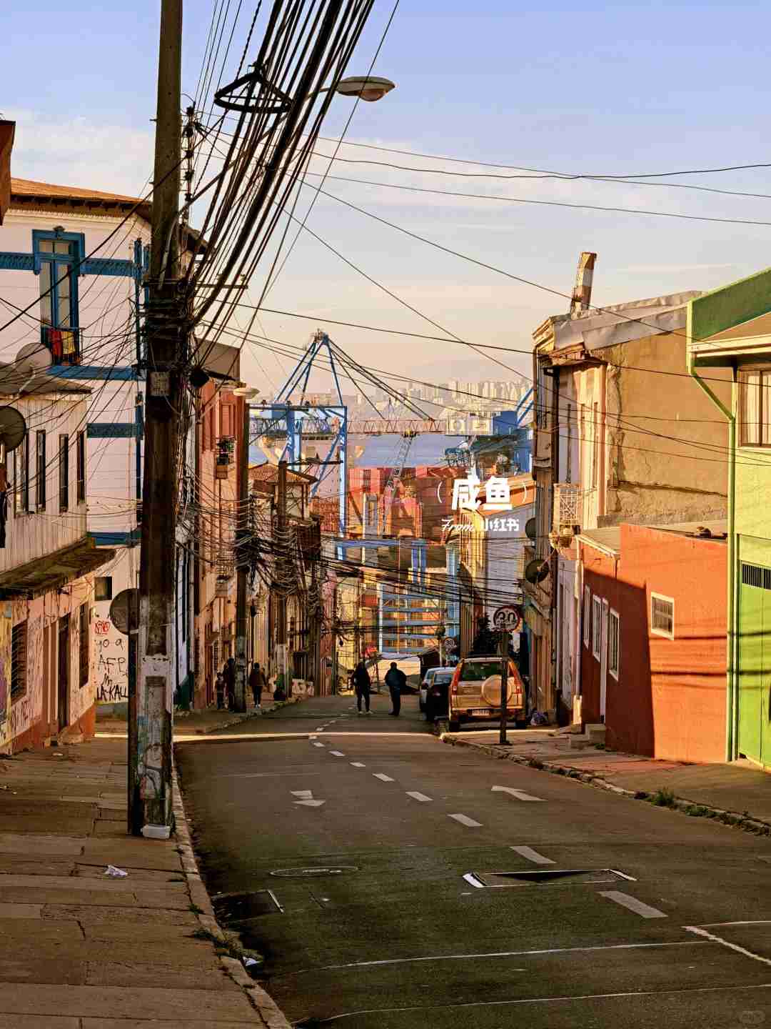 How to Visit the Blooming Wildflowers on Twin Gravestones in Valparaíso: Best Tips & Budget