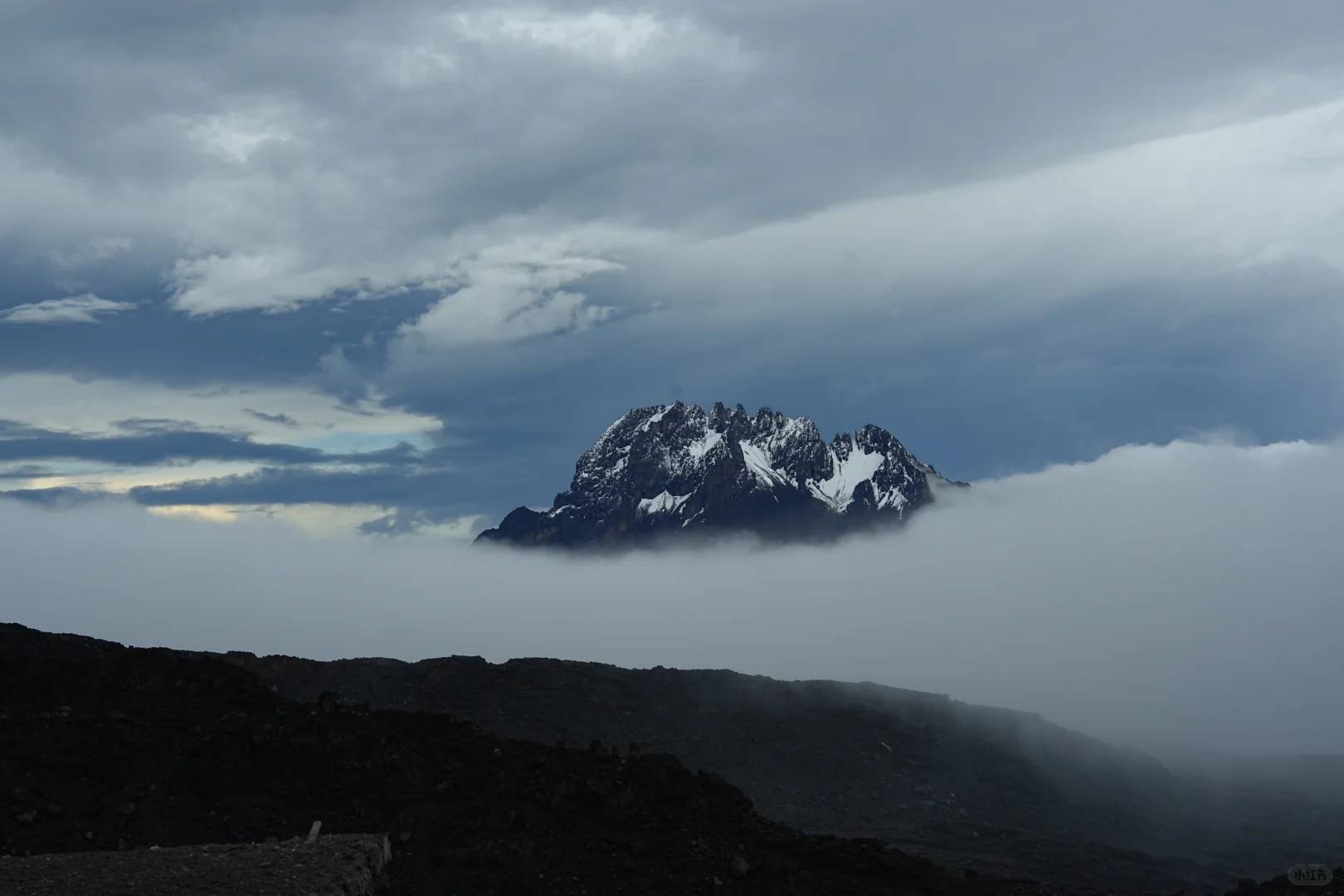 I Reached Kilimanjaro's Summit! Here's How I Earned My Climbing Certificate Successfully