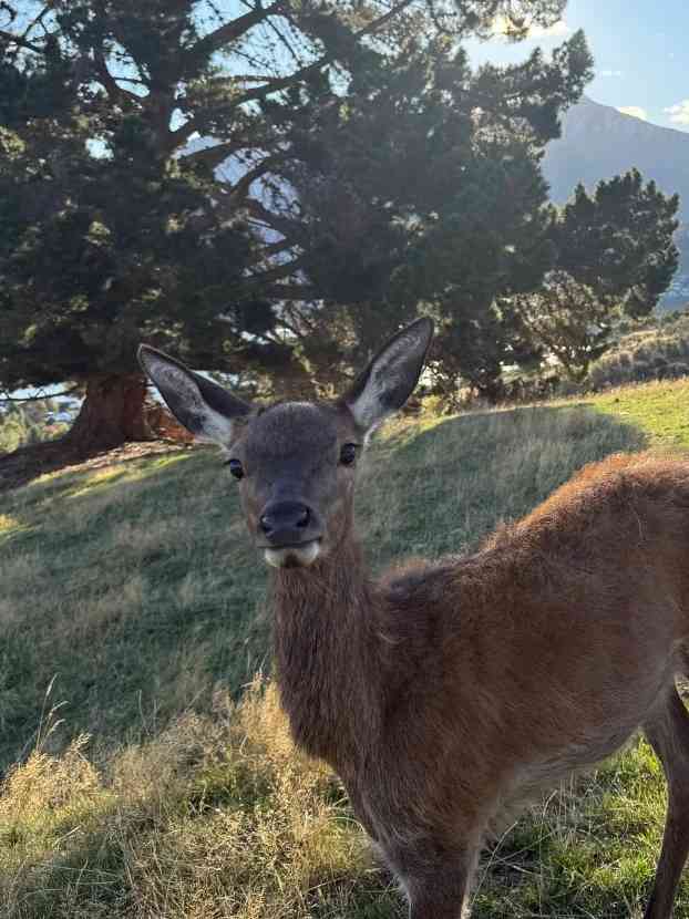 Is 30,000 RMB Enough for an Average Traveler to Explore New Zealand in Detail?