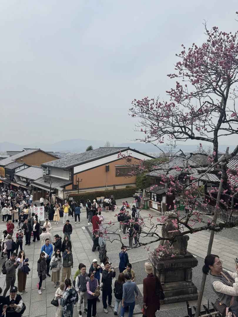 Is Kyoto Always Crowded? Best Times to Visit & Avoid Tourist Rush in Japan