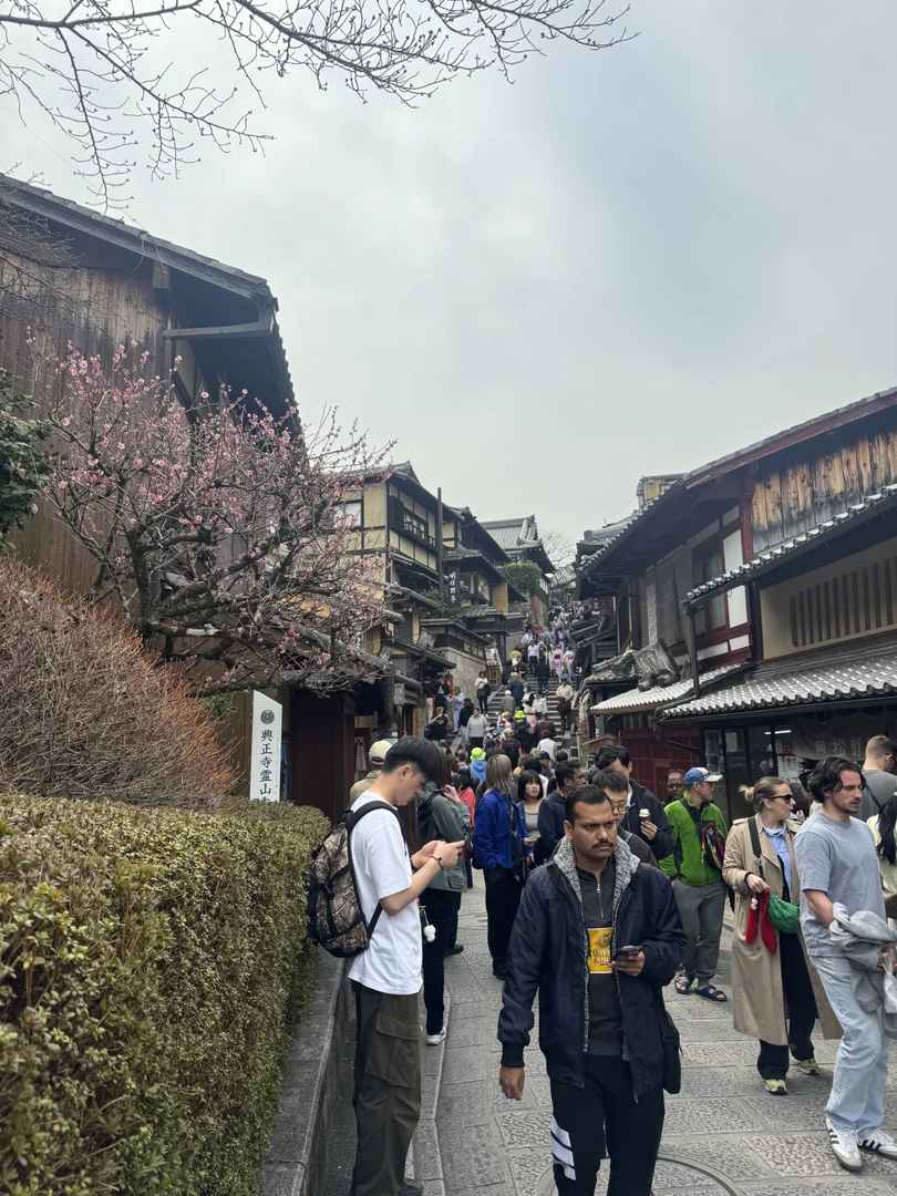 Is Kyoto Always Crowded? Best Times to Visit & Avoid Tourist Rush in Japan