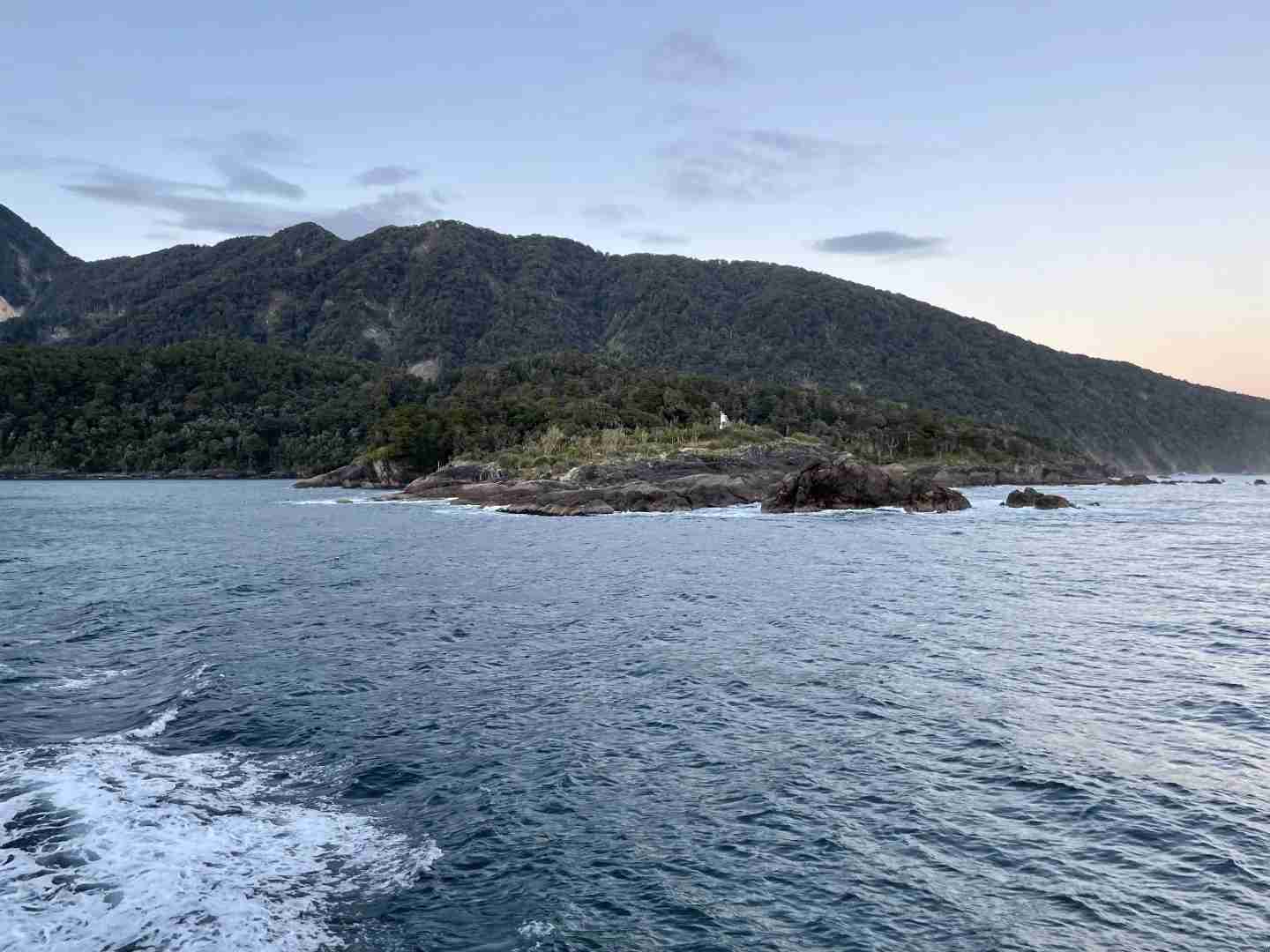 Is the $599 Overnight Cruise in Milford Sound Worth the Cost for Nature Lovers?