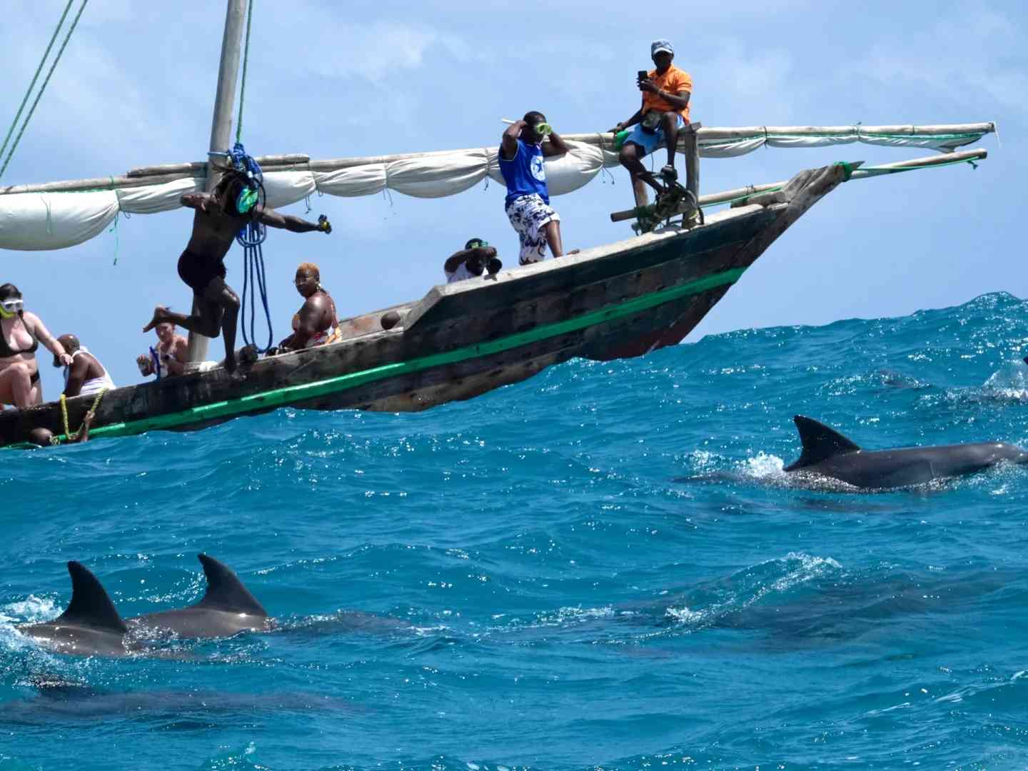 Is the Kojima Dolphin Tour Worth It? Essential Tips & Honest Review for Visitors