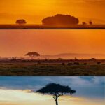 Join Kenya Travel Photography Group in July: Capture Amazing Wildlife Migration Photos!