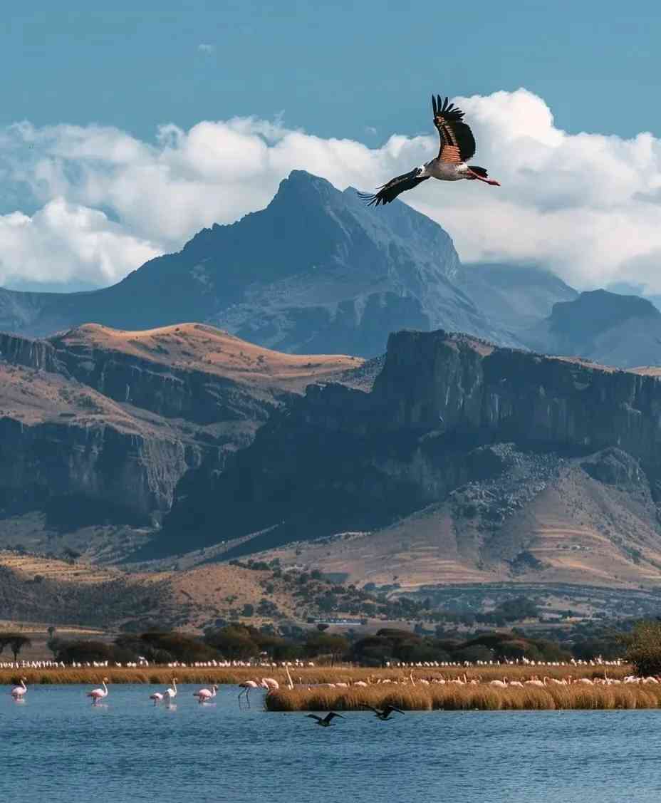 Kenya Travel Ultimate Guide: Must-See Destinations & Tips ✅