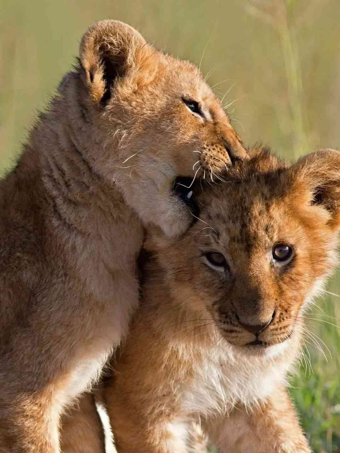 Kenya's Return: Discovering My True Feelings and Unexpected Journey