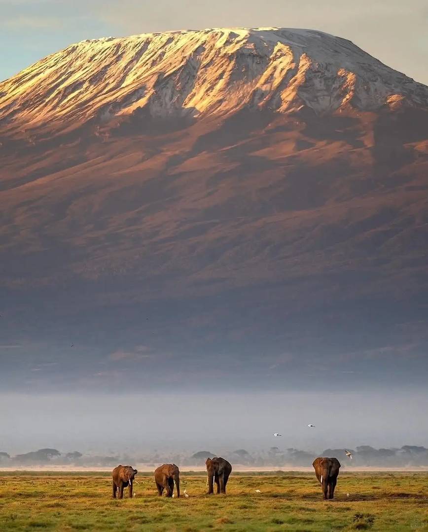 Kilimanjaro Climbing Guide: Best Routes, Tips & Stunning Summit Views