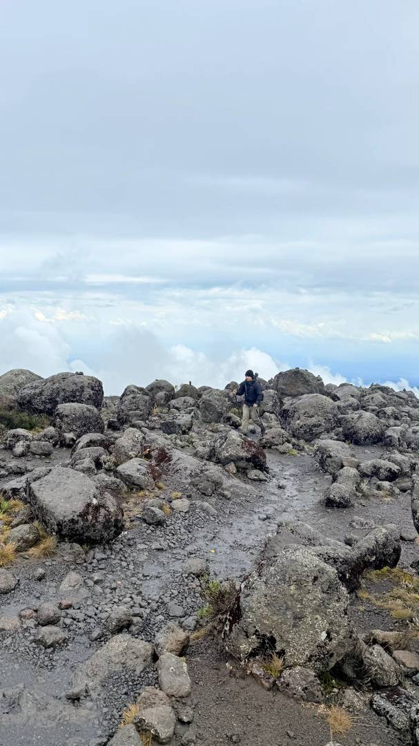 Kilimanjaro Day 2 Itinerary: What to Expect on Your Second Day of Hiking