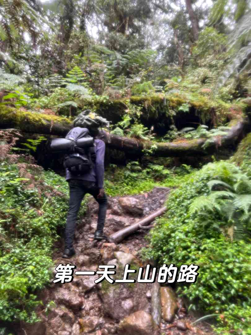 Kilimanjaro Machame Route Day 1: Essential 3.5-Hour Trekking Guide & Tips