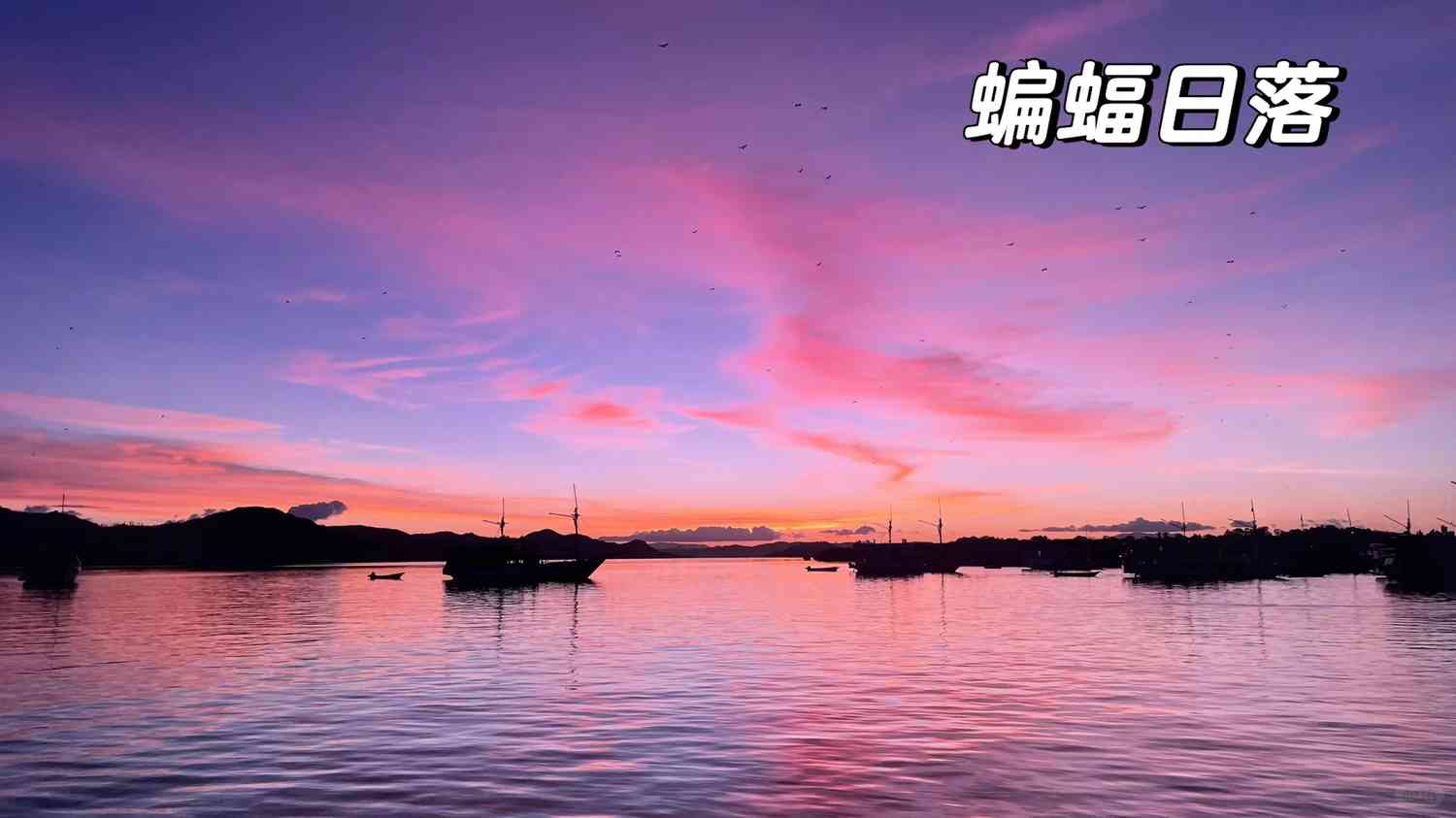 Komodo 2D1N Private Yacht Adventure for Ten: Ultimate Island Hopping Experience 🏝️
