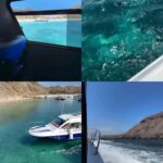 Komodo One Day Tour: Explore Stunning Islands & Meet Wild Komodo Dragons 🐊