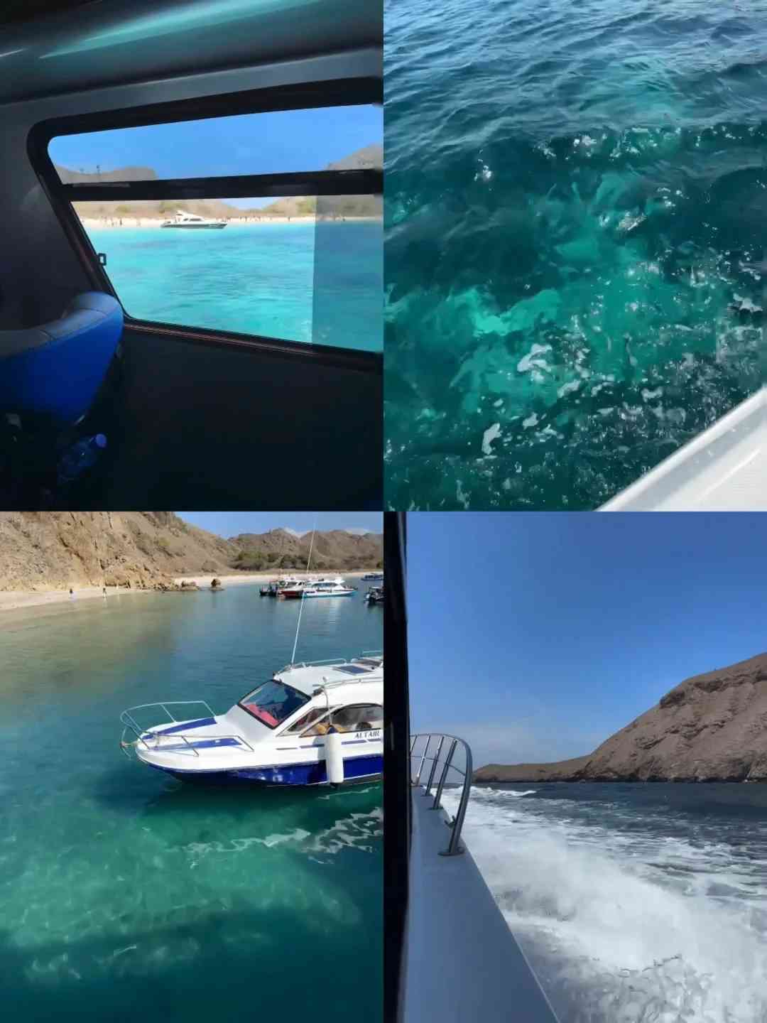 Komodo One Day Tour: Explore Stunning Islands & Meet Wild Komodo Dragons 🐊