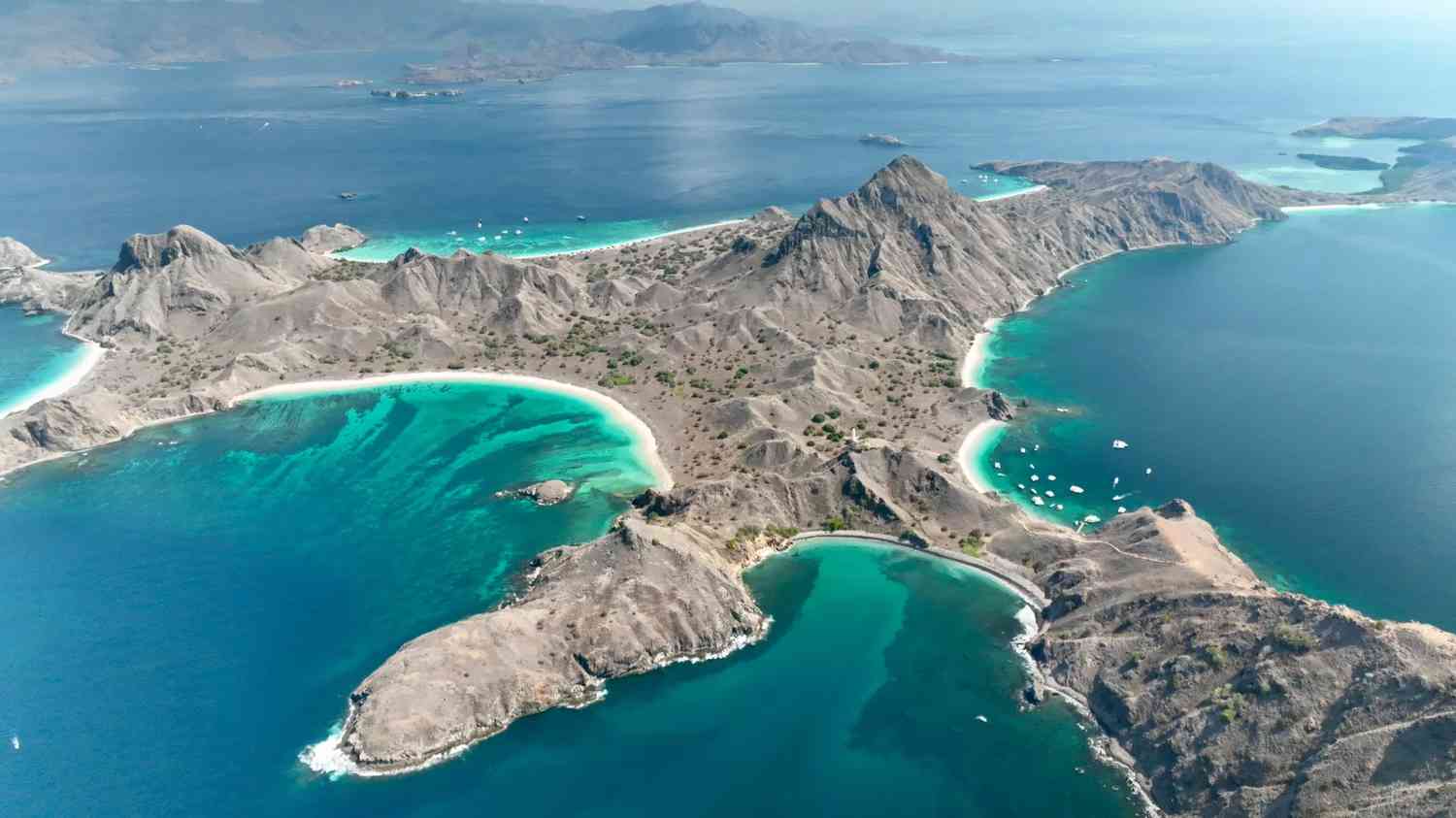 Komodo One Day Tour: Explore Stunning Islands & Meet Wild Komodo Dragons 🐊