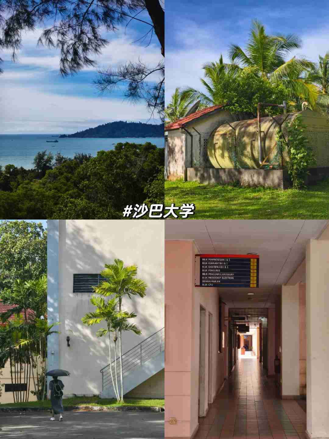 Kota Kinabalu 5 Days 4 Nights Itinerary: Best Places to Eat, Stay & Explore!