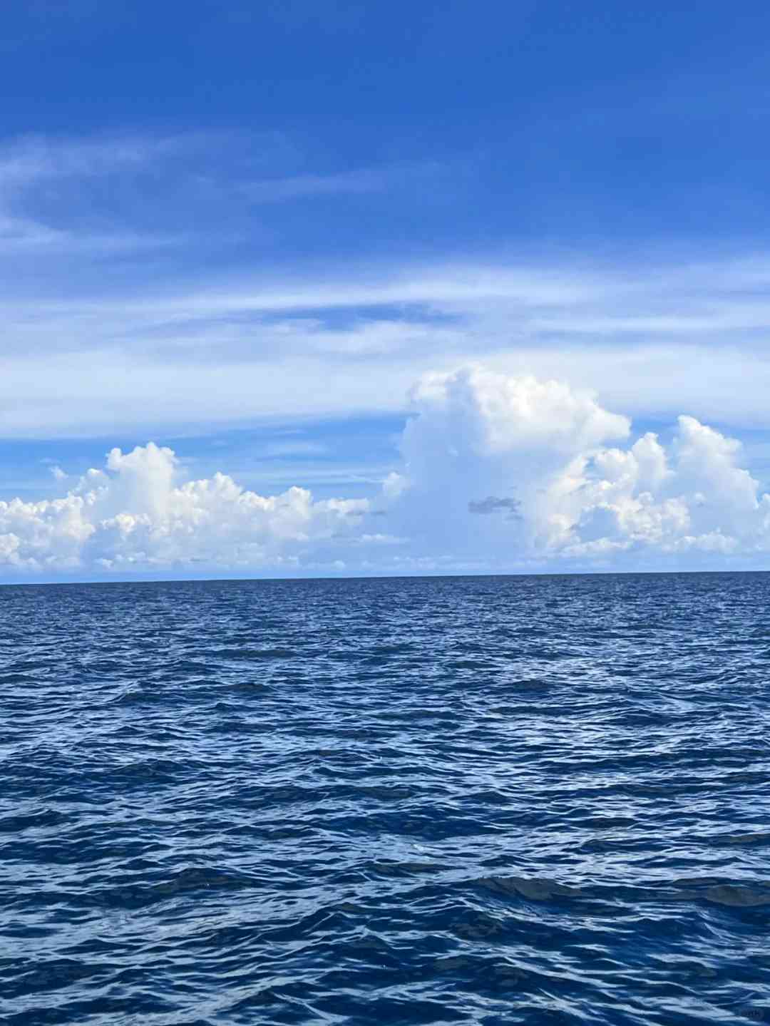 Kota Kinabalu🌴🌄: Ultimate 3-Day Solo Travel Guide in Southeast Asia