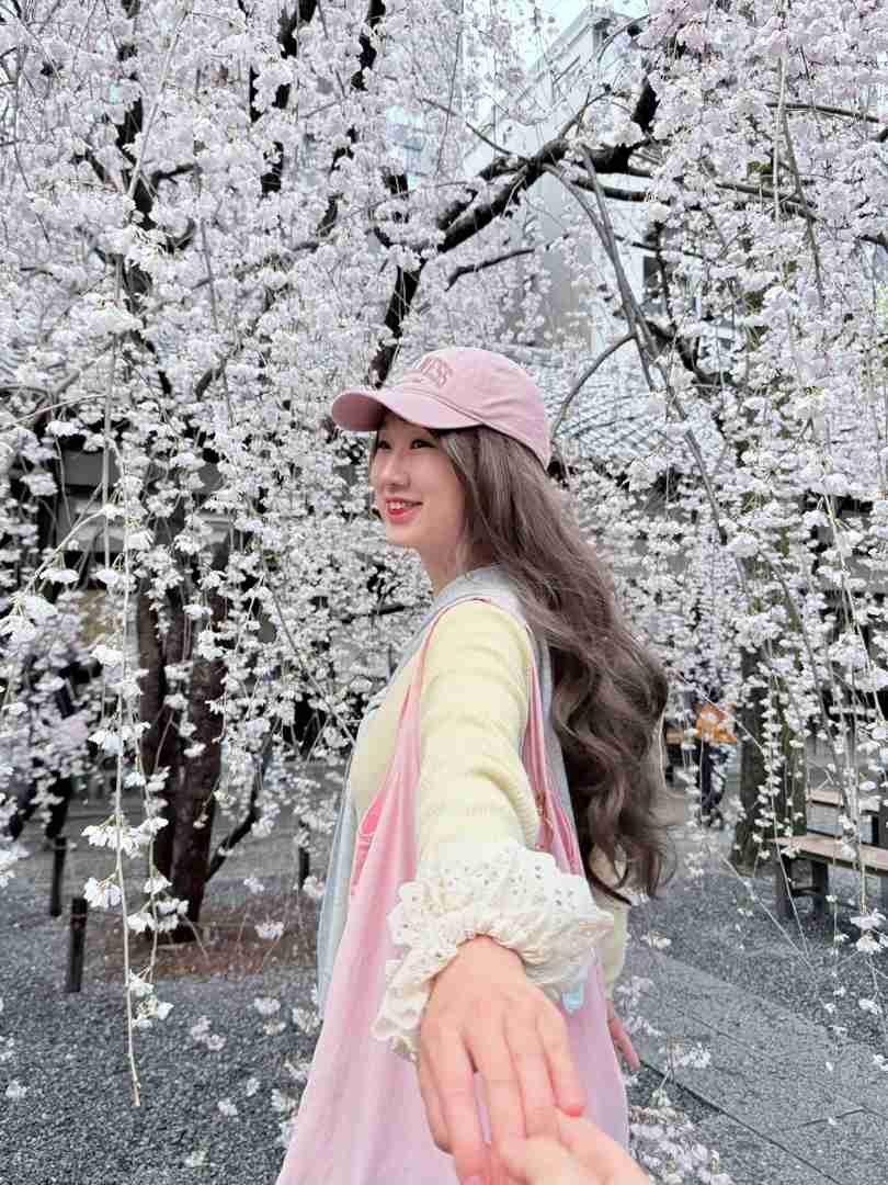 Kyoto Cherry Blossom Guide: How to Experience Luxury Sakura Viewing Like a Local