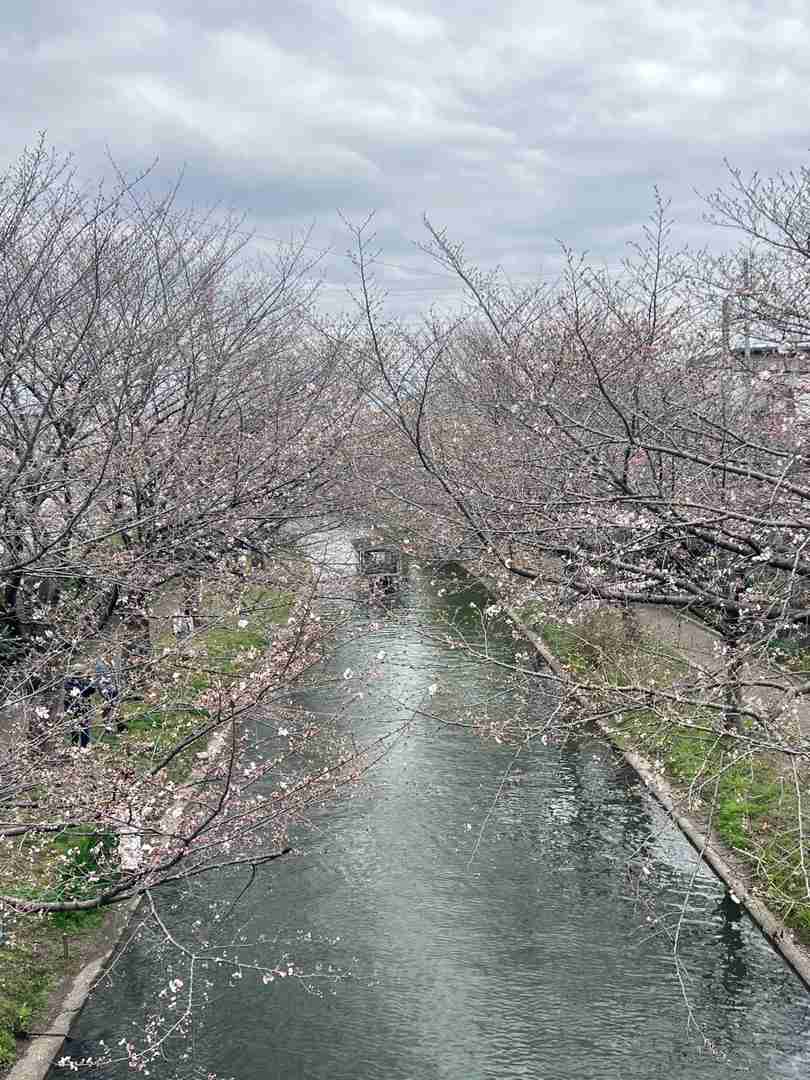Kyoto Fushimi Jikkokubune Canal Live Footage - Scenic Boat Tour Experience in Japan