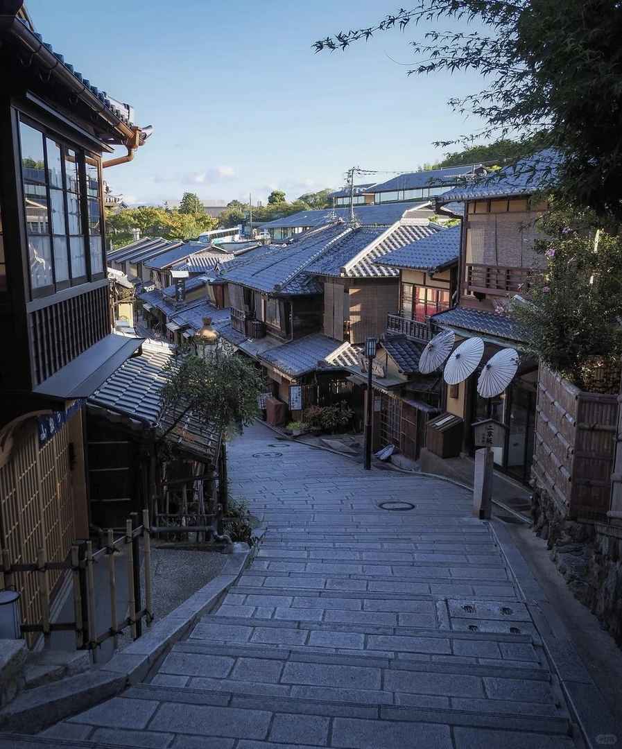 Kyoto One-Day Walking Tour: Best Itinerary for Exploring Top Attractions Efficiently