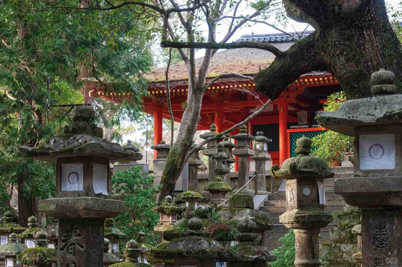 Kyoto Travel Guide: Stunning Photos of Five-Story Pagoda, Kiyomizu-dera & Fushimi Inari Shrine