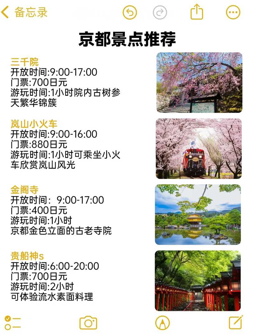 Kyoto Travel Warning: Why Skipping Homework Ruins Your Spring Trip (March-May)