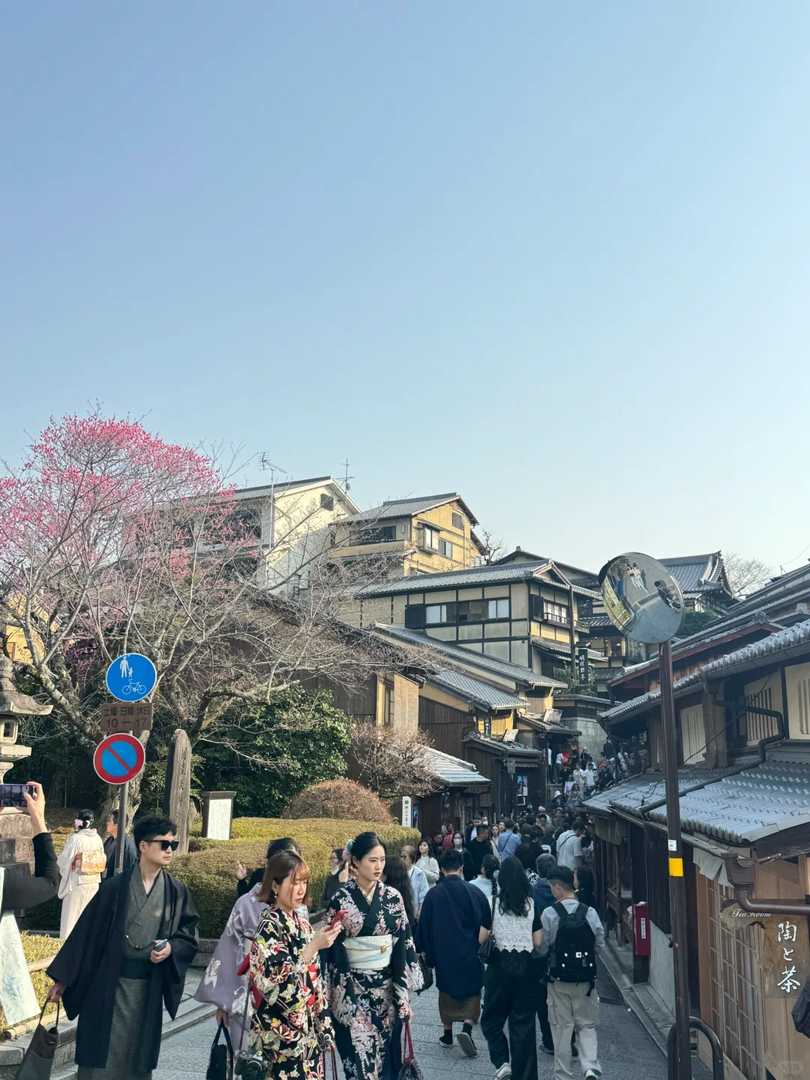 Kyoto's Kiyomizu-dera Cherry Blossom Crowds: Why March 26th Was Impossible to Walk Through