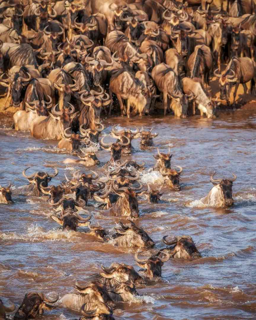 Luxury African Safari Adventure: Witness Breathtaking Sunrises & Wildlife in Style